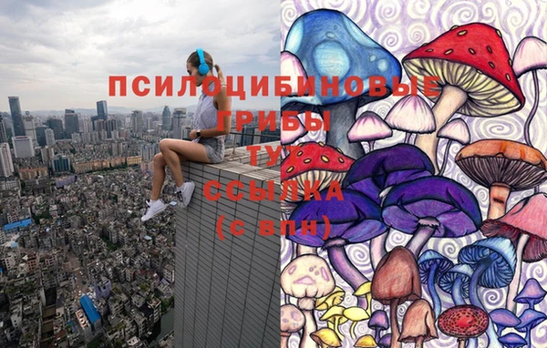 соль ск Новокубанск