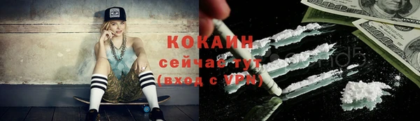 соль ск Новокубанск