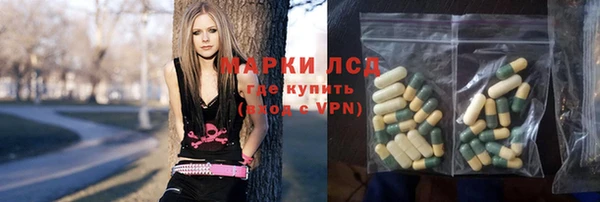 стаф Нея