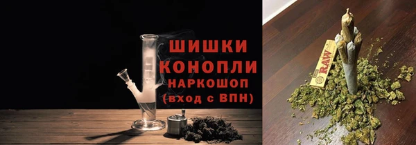 стаф Нефтегорск