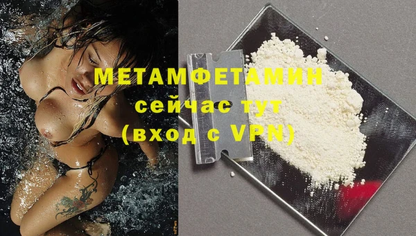 стаф Нея