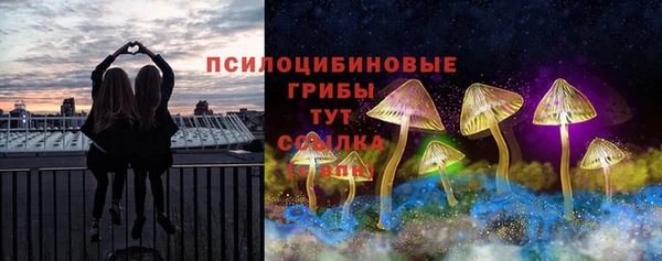 экстази Новодвинск