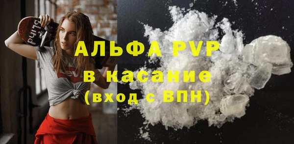 стаф Нея