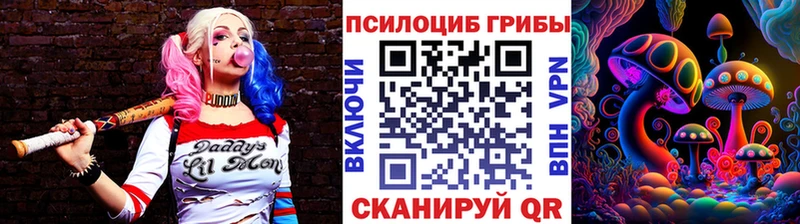 ссылка на мегу ONION  Калининград  Псилоцибиновые грибы Cubensis 