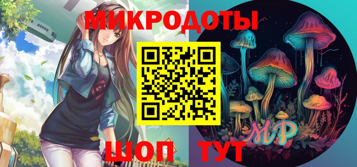 Калининград  Псилоцибиновые грибы Cubensis  Вход с VPN 
